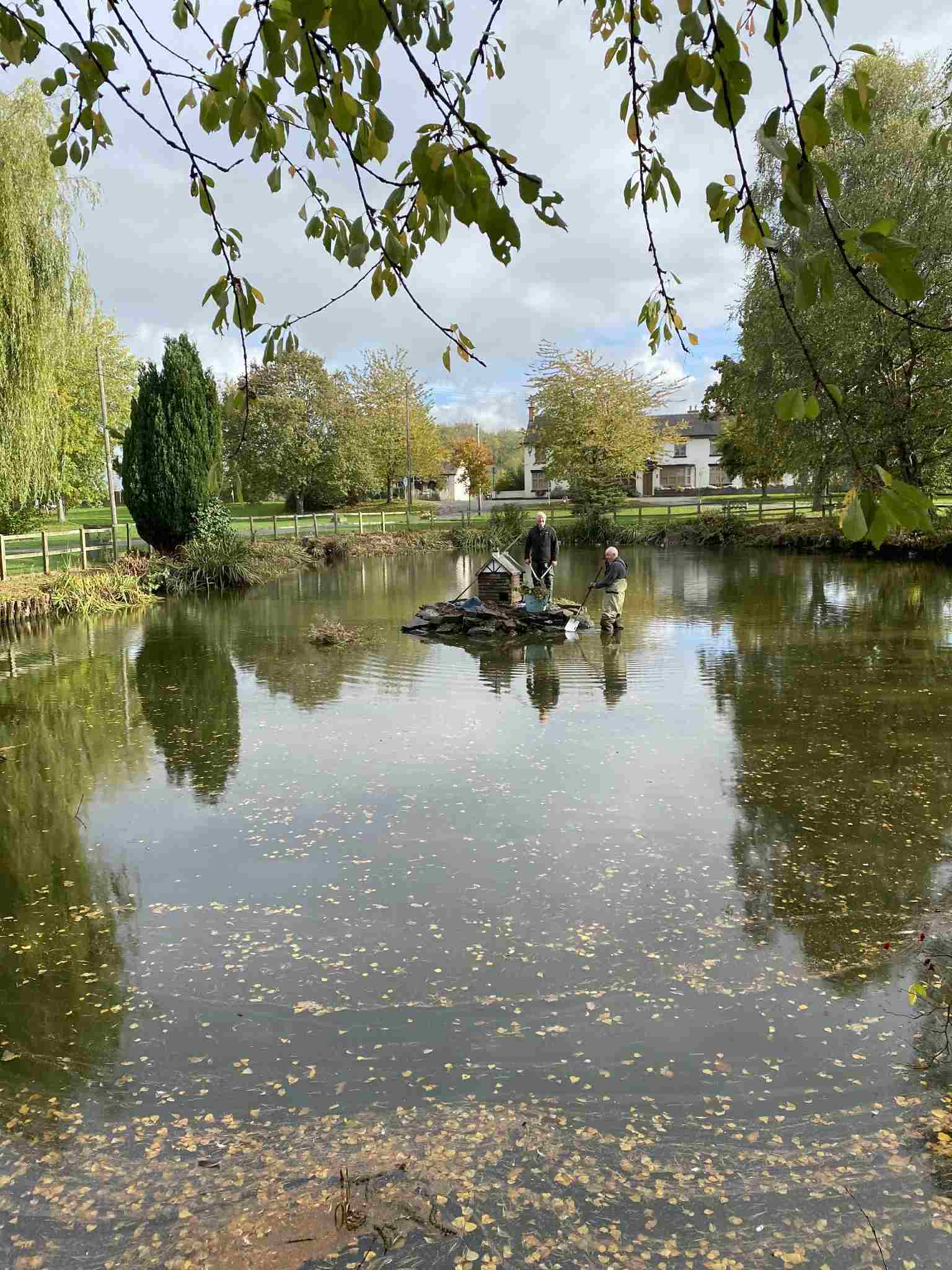 Cleaning up the pond, 2025